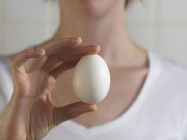 Лучшее средство в борьбе с папилломами-яйцо