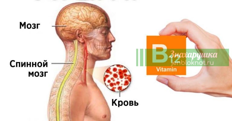 Появились проблемы со зрением и памятью. В этом виноват дефицит витамина B12. Узнайте насколько это опасно
