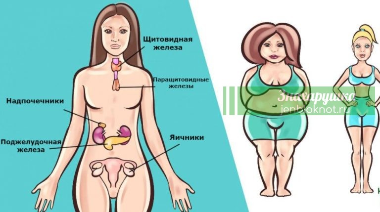 Есть 6 гормонов, которые мешают вам похудеть. Вот что делать с каждым из них