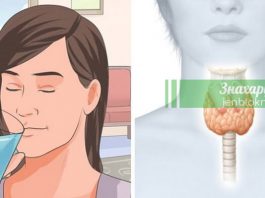 Как перезапустить щитовидку, чтобы сжечь лишний жир и ускорить метаболизм