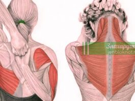 5 упражнений для вашей шеи, которые спасут от головокружения и нормализуют давление