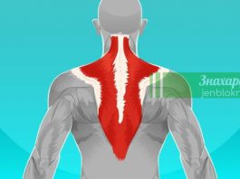 Мышечные зажимы шеи и спины. Как справиться с болевым синдромом