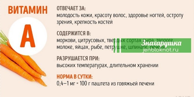 Все, что вы хотели знать о витаминах, но боялись спросить