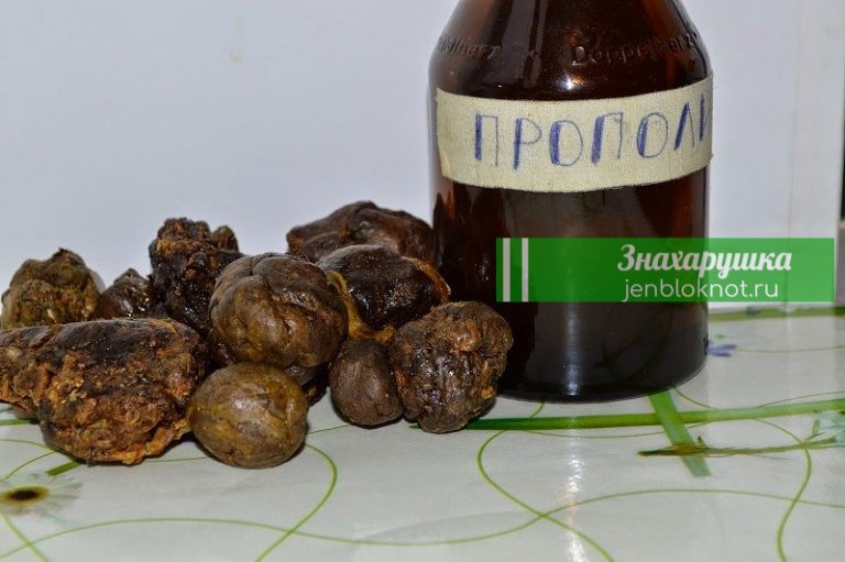 Прополис: болезни — лечит, здоровье — бережет