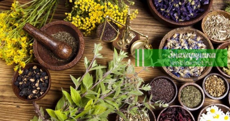 8 Продуктов, Уничтожающих Паразитов В Организме