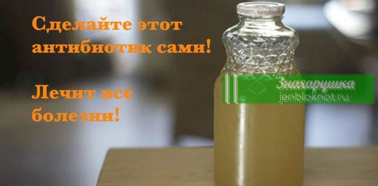 Вот самый мощный природный антибиотик в мире. Убьет любую инфекцию