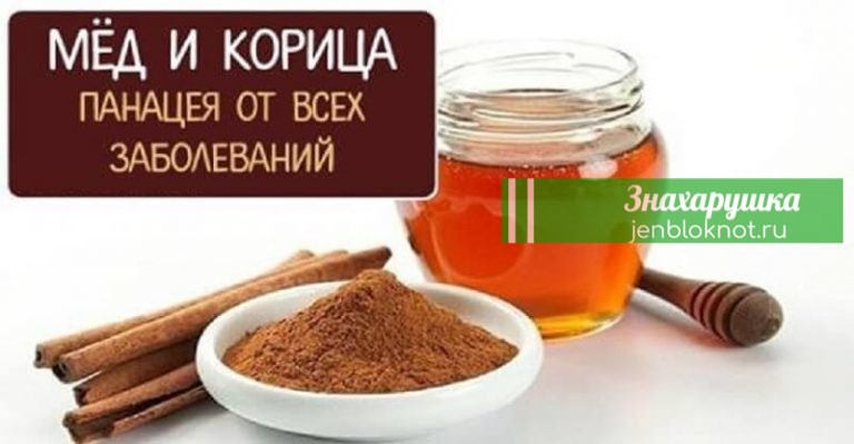 Лекарство от всех болезней. Эта смесь задерживает наступление старости
