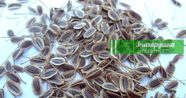 Эти рецепты — настоящая скорая помощь при панкреатите