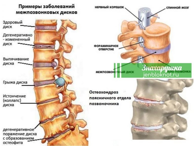 Хотите жить дольше. Чаще наклоняйтесь