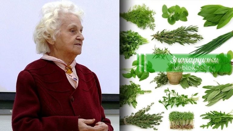 18 ЗОЛОТЫХ советов сибирской травницы