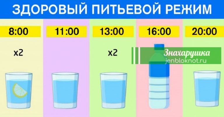 График для худеющих: ешь что хочешь и пей воду по часам. Результат — минус 15 % жира