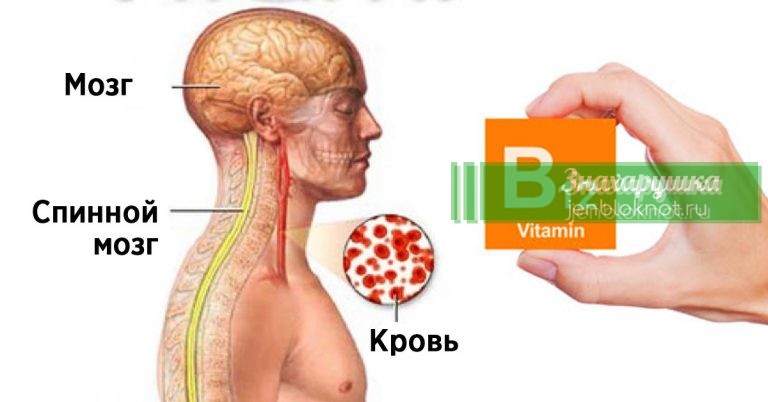 У вас появились проблемы со зрением и памятью. В этом виноват дефицит витамина B12