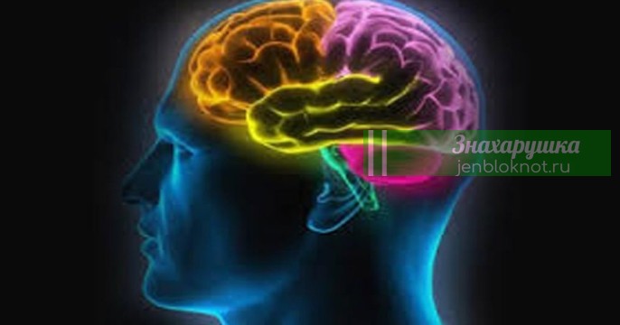 ВОССТАНАВЛИВАЕМ КОСТИ, ЗРЕНИЕ И УЛУЧШАЕМ ПАМЯТЬ НА 70%