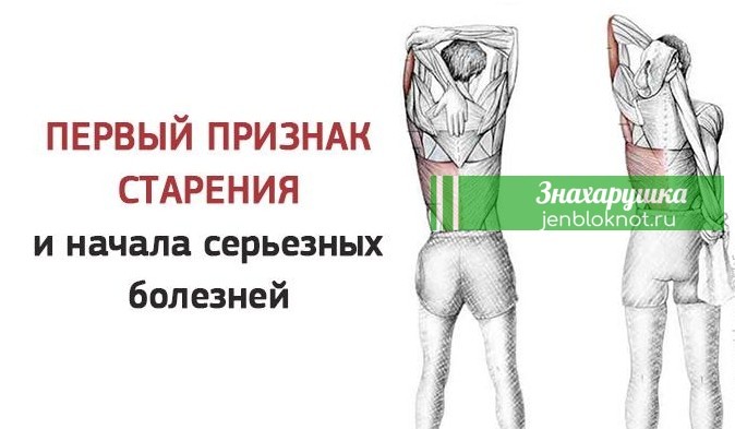 Индикатор молодости: Первый признак старения организма и начала болезней