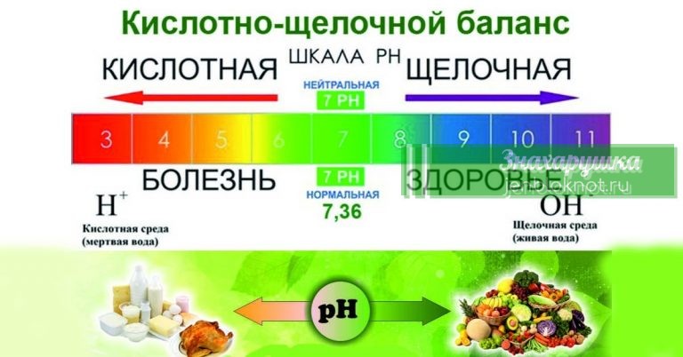 Список лучших 27 щелочных продуктов на планете. Ешьте больше, чтобы предотвратить ожирение и болезни сердца
