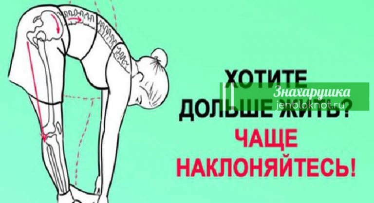 Хочешь жить дольше. Надо чаще наклоняться