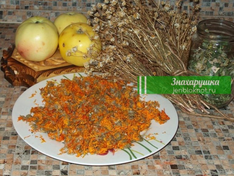 ЗДОРОВЬЕ БЕЗ ЛЕКАРСТВ