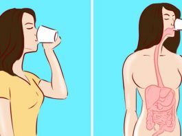 9 вещей, которые нельзя делать на голодный желудок