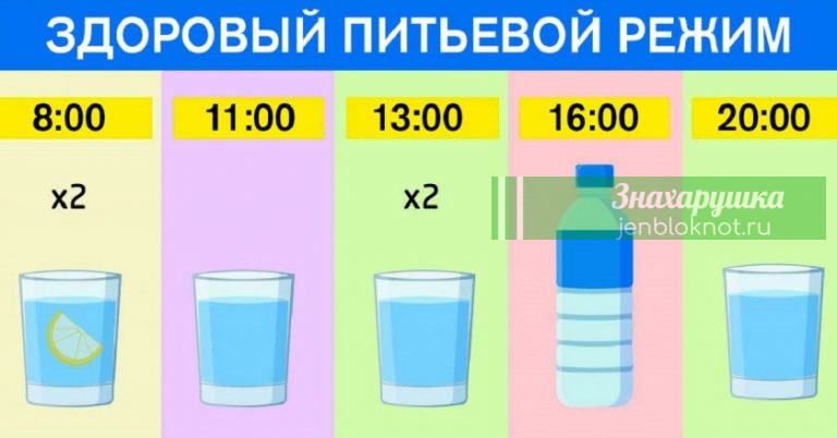 График для худеющих: ешь что хочешь и пей воду по часам. Результат — минус 15 % жира