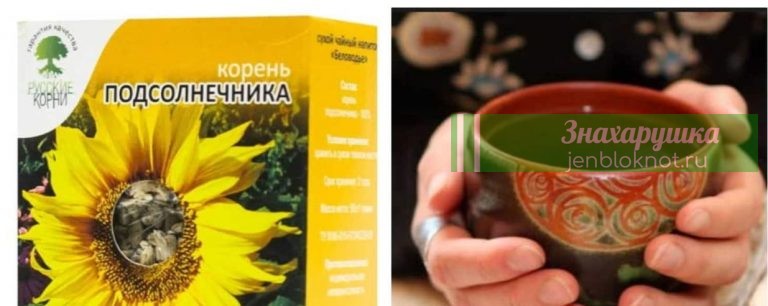 Этот корень выводит соли, лечит ревматизм и остеохондроз, а также выводит камни из почек