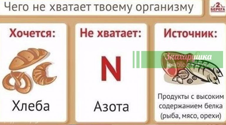 Таблица по питанию: чего не хватает организму
