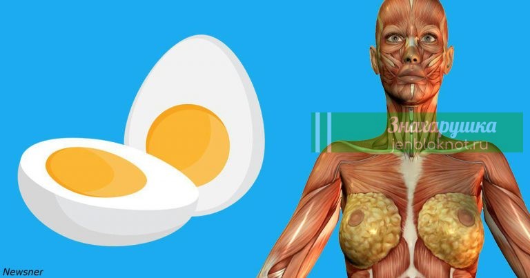 9 вещей, которые произойдут с вашим телом, если стать есть по 2 яйца на завтрак