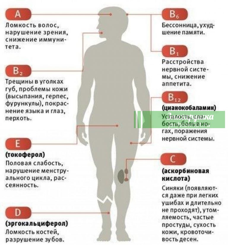 Как узнать, каких витаминов вам не хватает