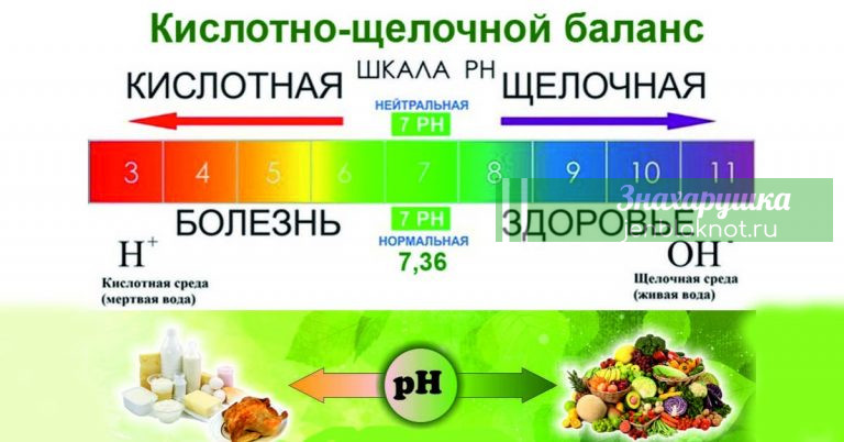 27 лучших щелочных продуктов на планете предотвратят ожирение, болезни сердца, печени, почек и не только…
