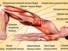 Каждая мышца работает, благодаря всего 3 упражнениям