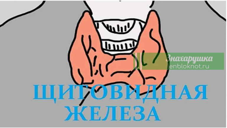 12 признаков того, что надо проверить щитовидную железу. Скрытый враг — гипотиреоз