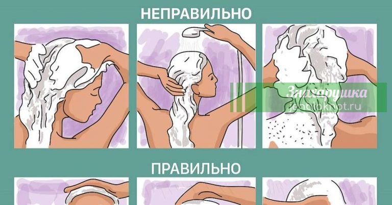 12 советов трихолога: вот как следует мыть голову, чтобы волосы долго не теряли свой объём и блеск