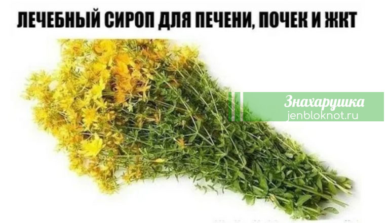 ЛЕЧЕБНЫЙ СИРОП ДЛЯ ПЕЧЕНИ, ПОЧЕК И ЖКТ