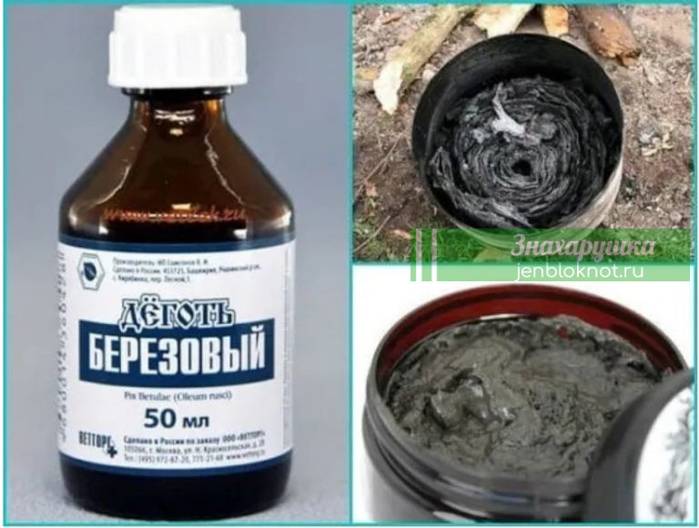 Лекарство наших предков — дёготь