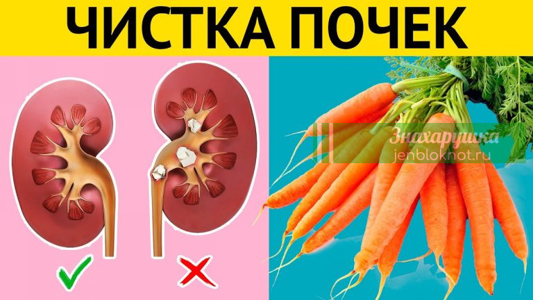 3 рецепта для очищения почек