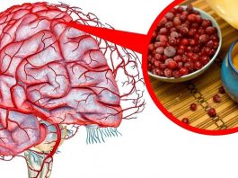3 самых мощных рецепта для улучшения кровообращения в головном мозге