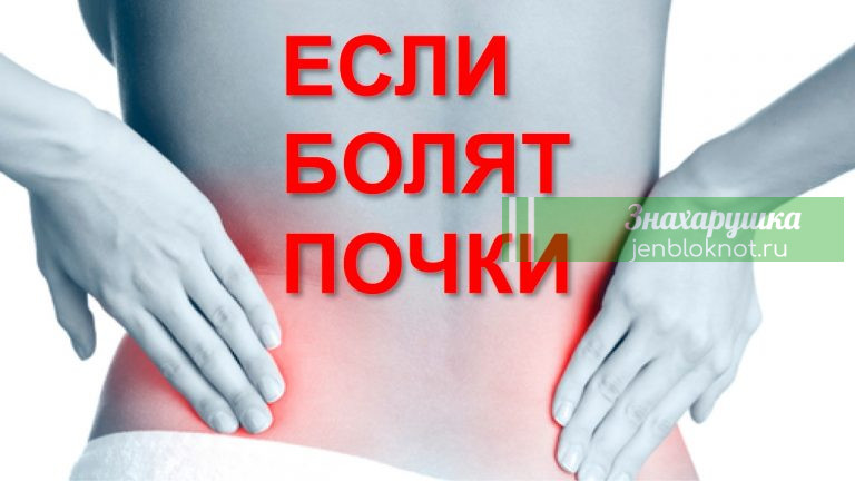 Когда болят почки — жить не хочется
