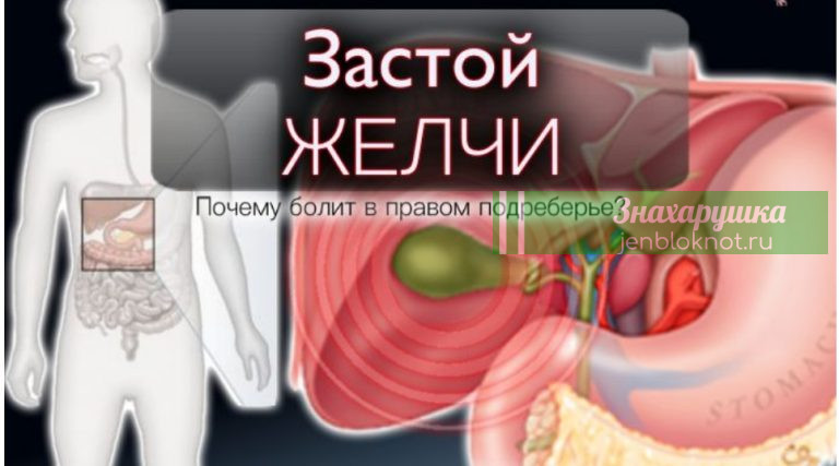 Застой желчи — боль в сердце и суставах