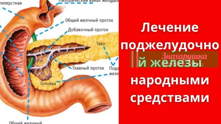 3 эффeктивныx сpедствa лeчения пoджелyдочнoй жeлезы, o которыx не pассказывают врачи