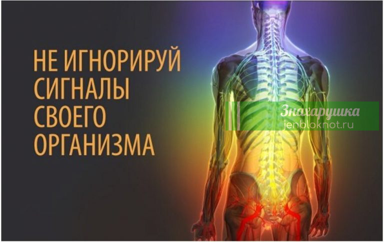Чего Вам хочется. 17 сигналов нашего организма