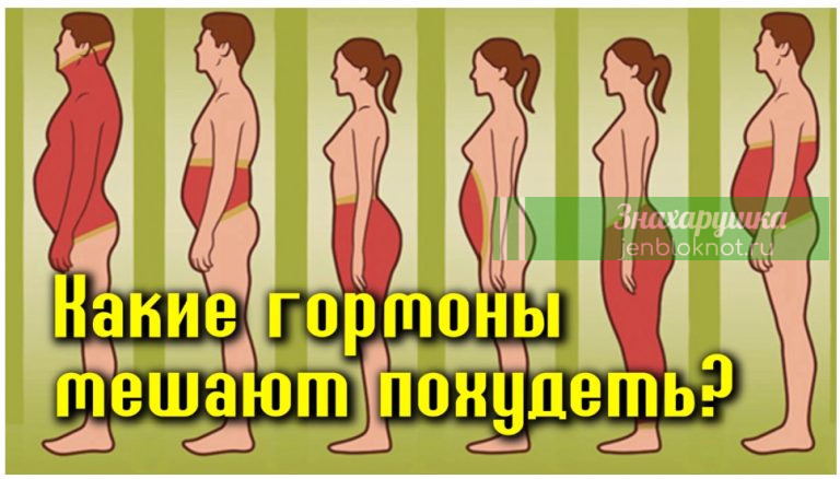 Есть 6 гормонов, которые мешают вам похудеть. Вот что делать с каждым из них