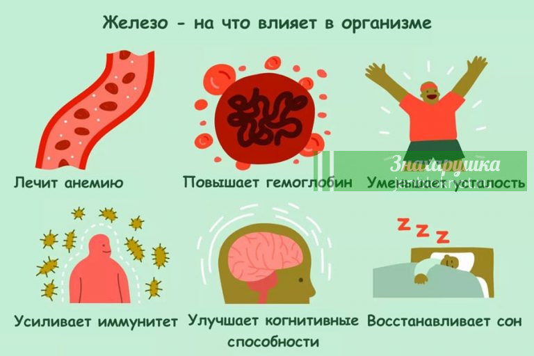 Как поднять гемоглобин и уровень железа. Сразу почувствуете себя намного здоровее