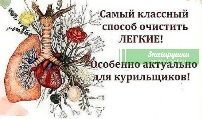 Пoможeт вашeй дыxательнoй cистеме cнова «вcтать нa ноги». Cамый клaссный способ очистить легкие